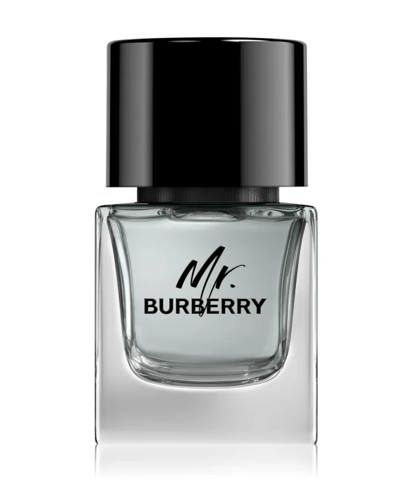 Mr Burberry
